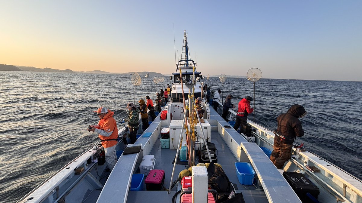 【公式】アルファタックル(alphatackle)｜船釣りなどなど⛴ tweet media