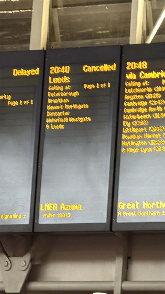 🦊🦊🦊 tweet media