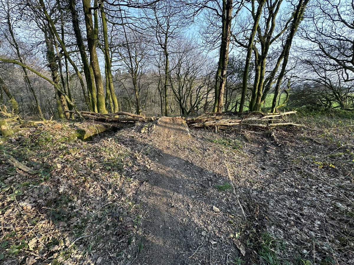 Grayo 🏴󠁧󠁢󠁷󠁬󠁳󠁿 tweet media