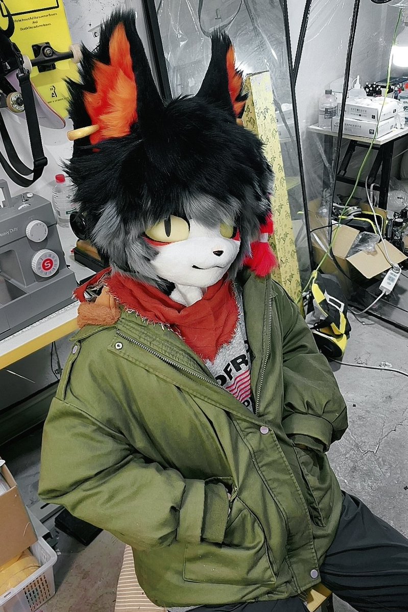 🦊_Angus tweet media