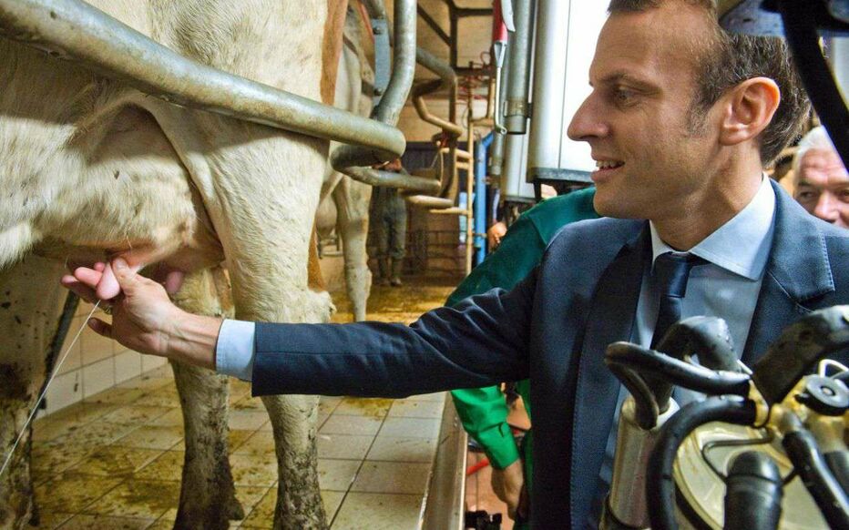 Fan de Marlène tweet media