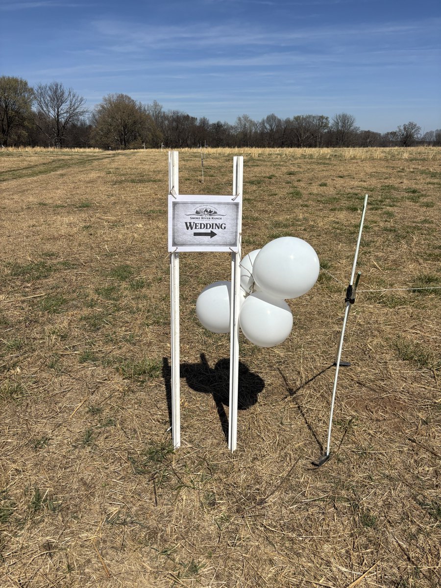 Untapped Growth⚔️👑⚔️ tweet media