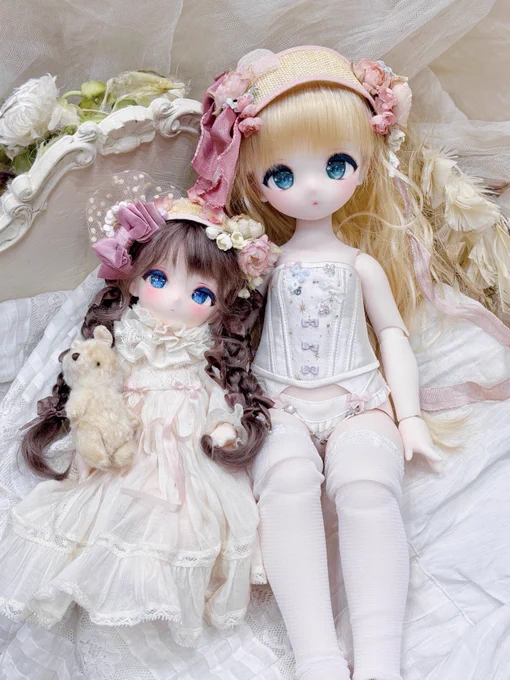 アイドール、れにゃっ子ちゃんに会いたくてうちのRuruちゃんも連れて行きました 本当に夢のように可愛い