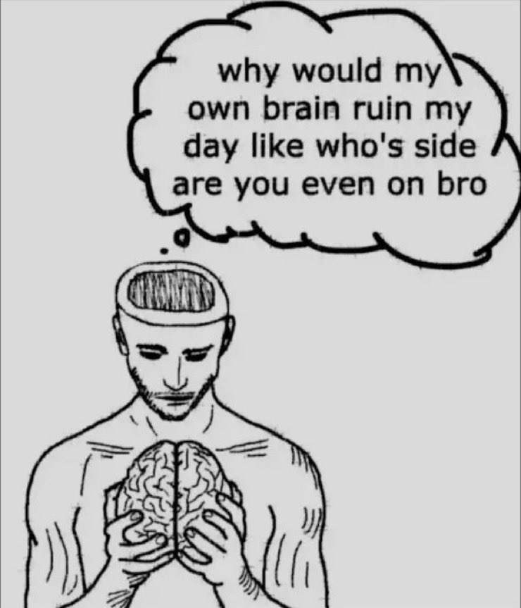 Genosse Krakadil 🐊 tweet media