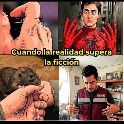 DRA. MERCEDES PAVON "SUPERMUELITA FIFÍ" tweet media