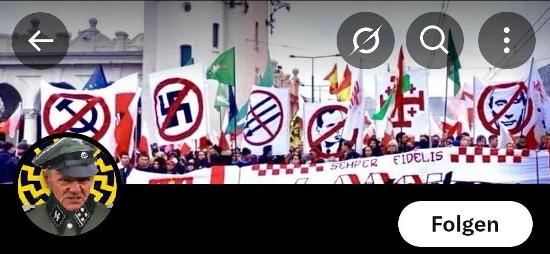 Helm von der Vogelweide ✙ ☫ tweet media