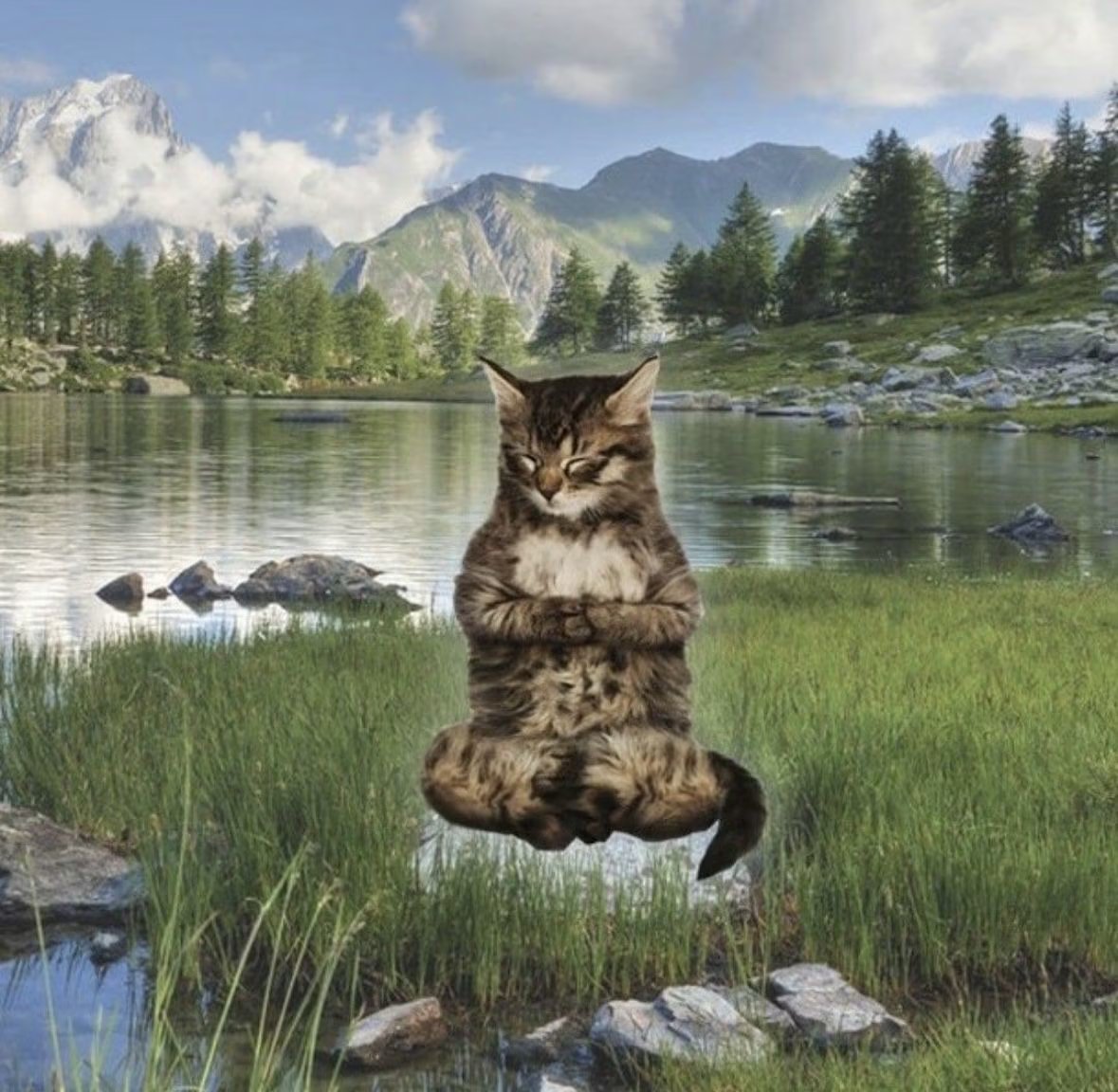 NEET CHUD tweet media