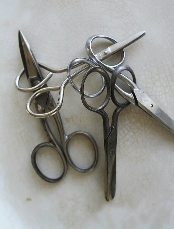 ✧˖°. ☠︎ ☠︎ .° ˖ ✧ tweet media