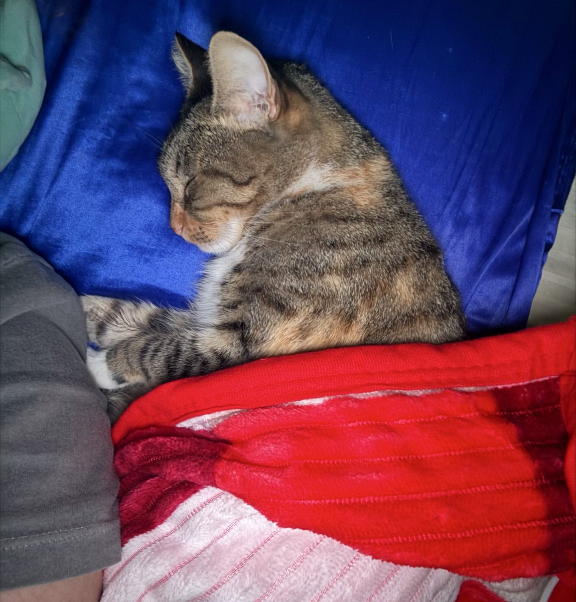 angie ੭﹕﹒ tweet media