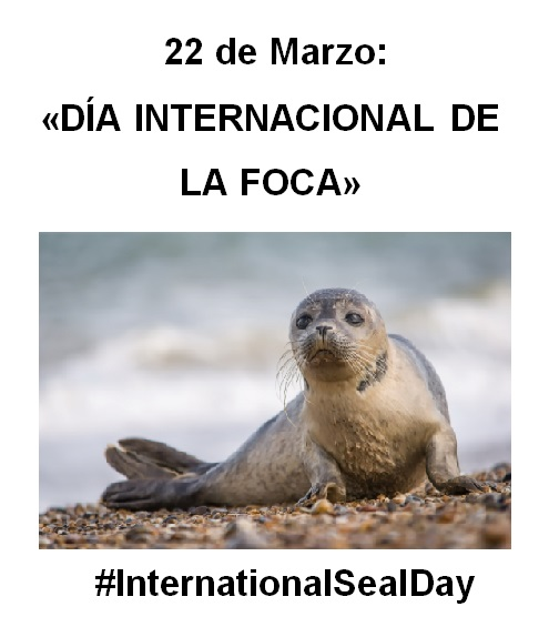 ®Diana Montanari 🇦🇷🌐 tweet media