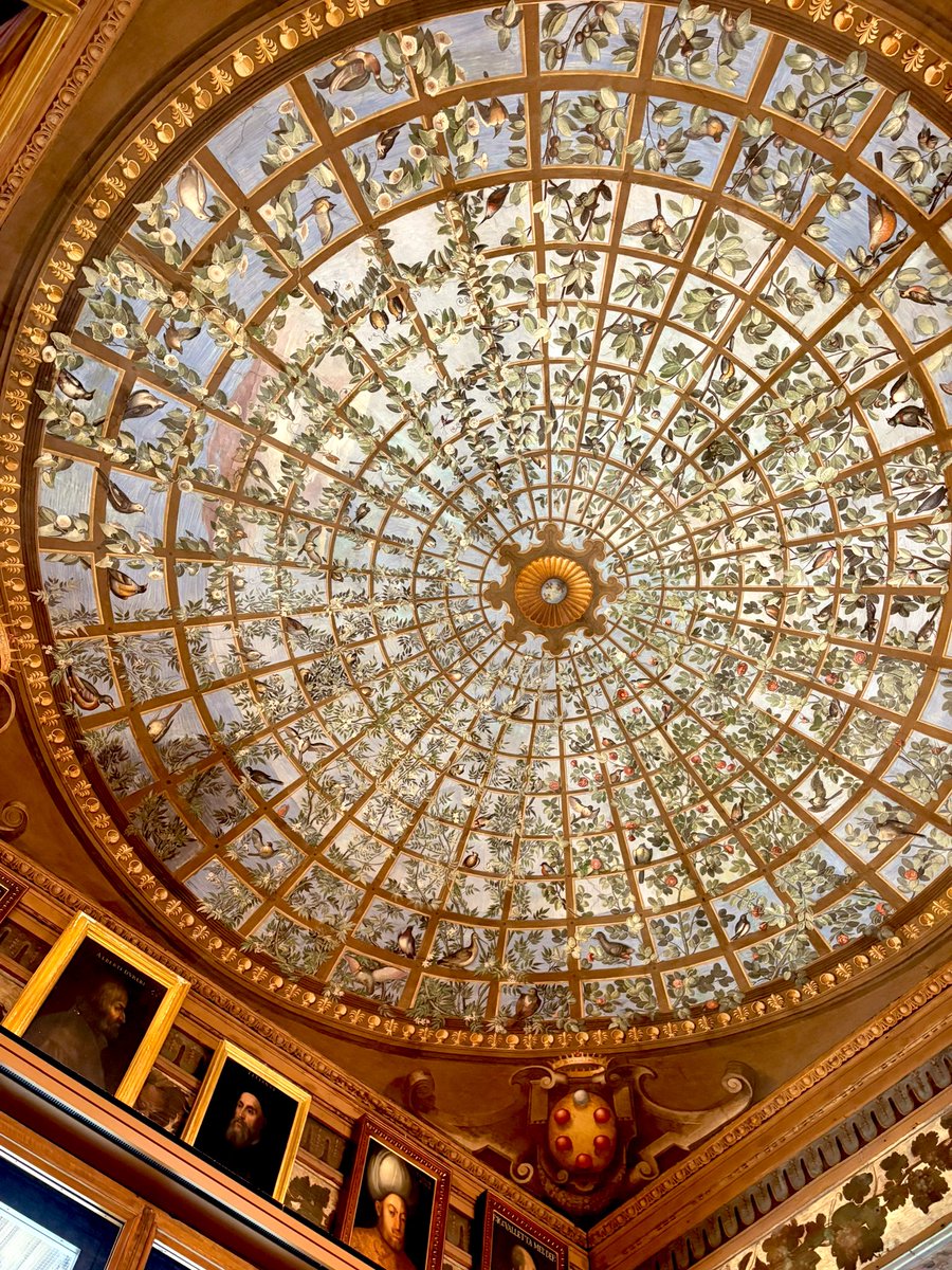 vaecordia the vivisector ✧ tweet media