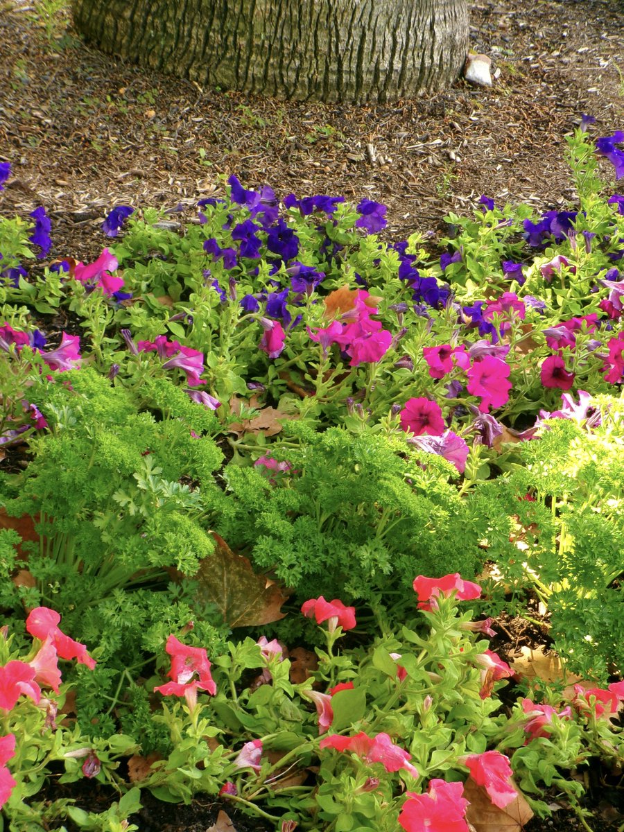 phoebe 🍜 tweet media