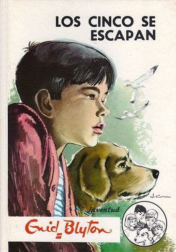 Ignacio Valladolid tweet media