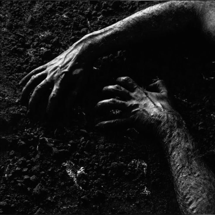 𝔅𝔦𝔯𝔡𝔦𝔢. tweet media