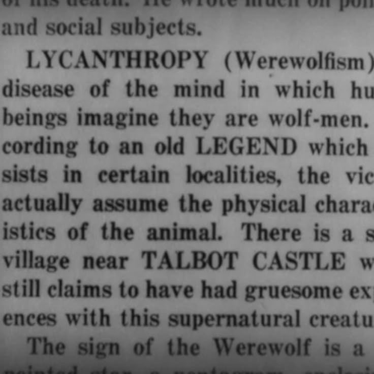 𝔅𝔦𝔯𝔡𝔦𝔢. tweet media