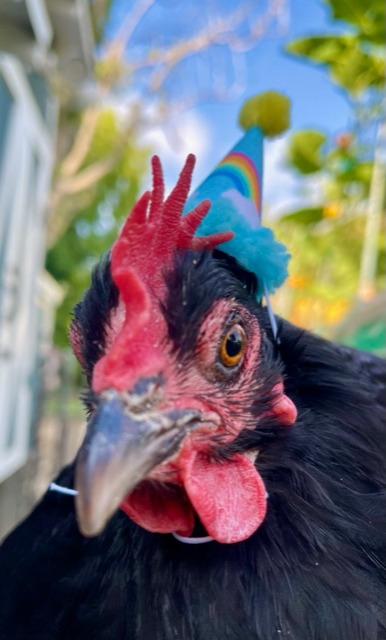 Heather Thomas tweet media