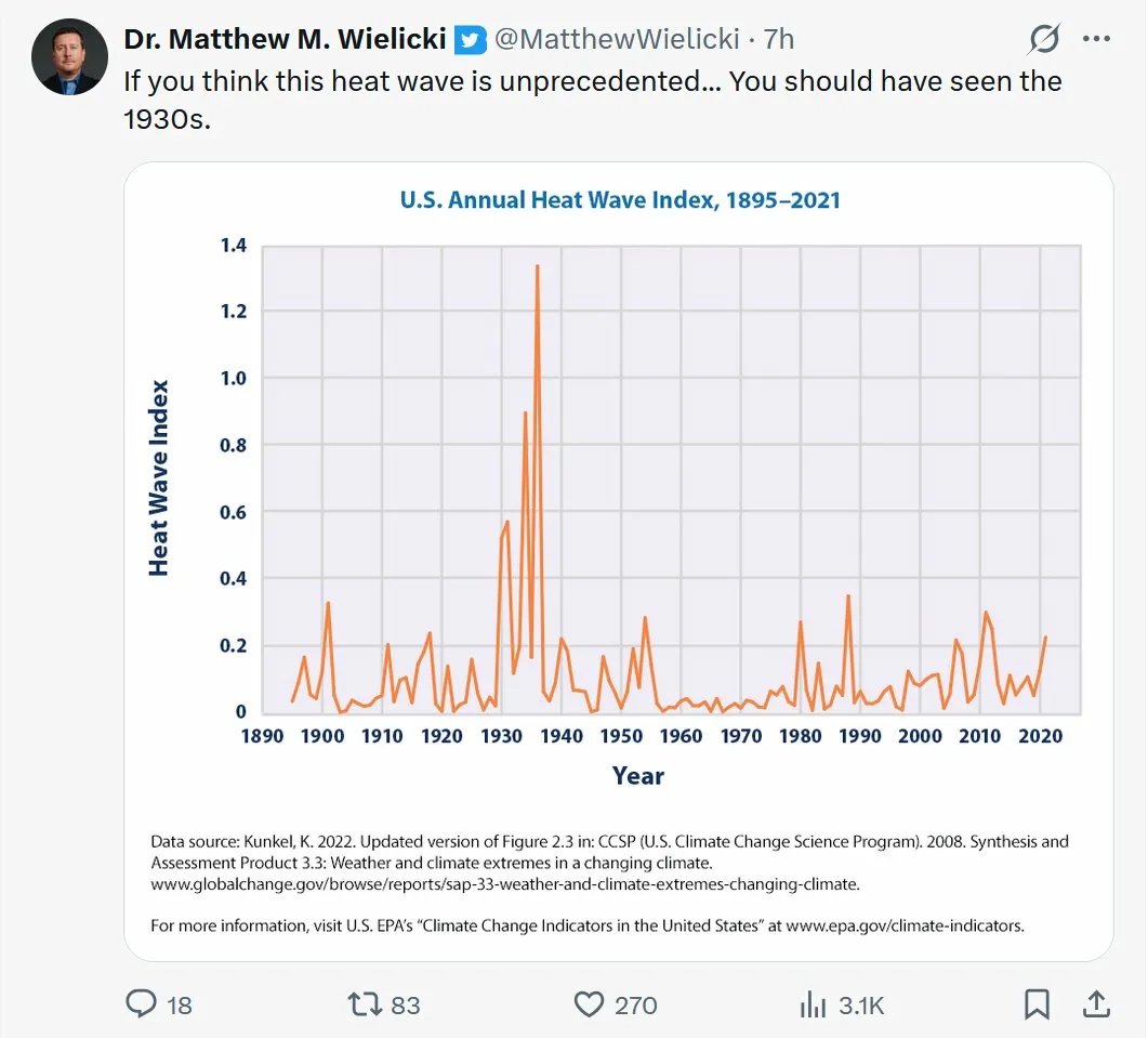 Indonesisches Bergwiesel tweet media