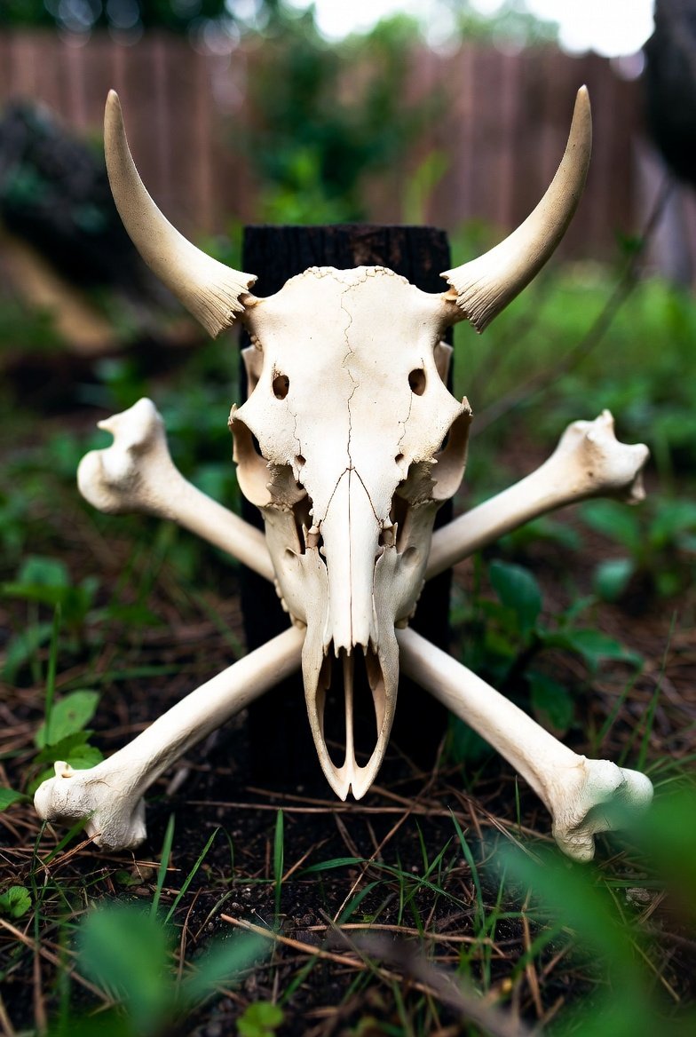 MOWSA Make Our World Safe Again tweet media