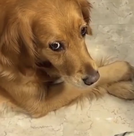 metanol na bebida do ayrton lucas tweet media