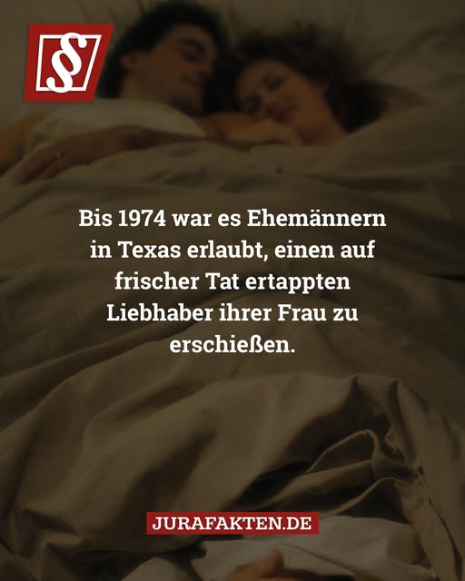 Schonungslos tweet media