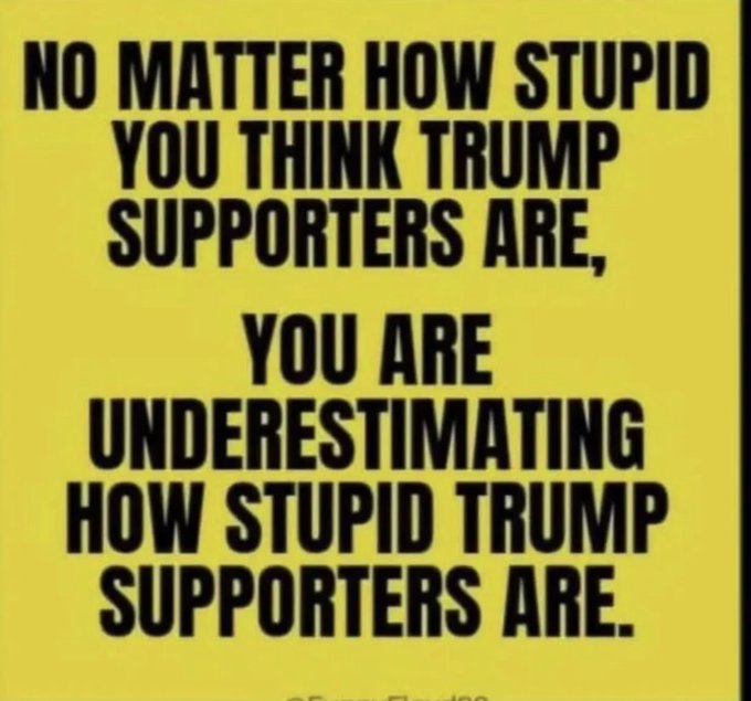 🌸Cindy Littlefield🌸🐸🤌🦜🌊🌈🏳️🌈#RESIST 💙 tweet media