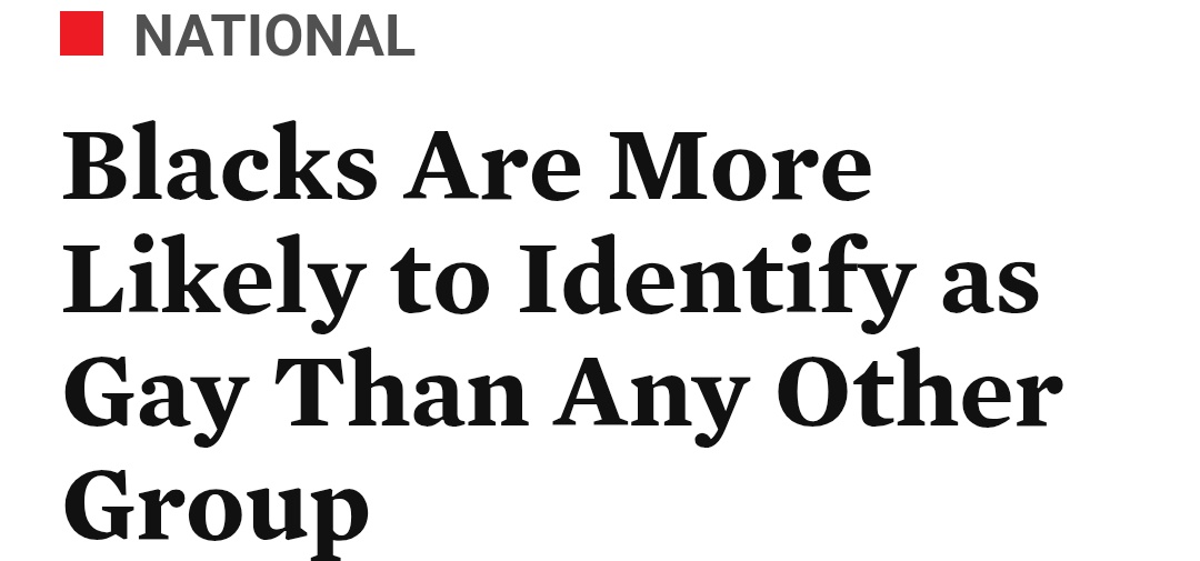 Timmy Tuff Knuckles tweet media