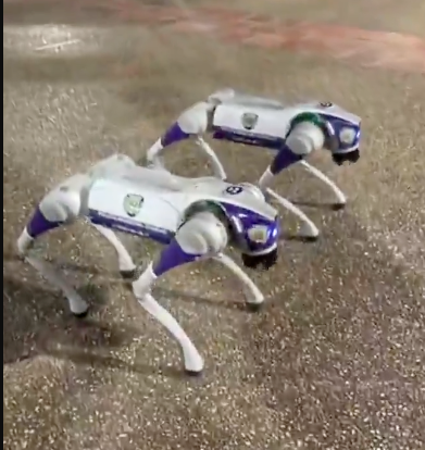 Fotografía Venezuela tweet media