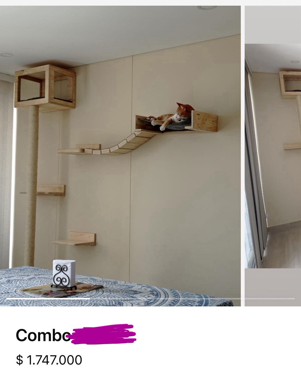 𝖉𝖎𝖊 𝕱𝖑𝖊𝖉𝖊𝖗𝖒𝖆𝖚𝖘 🦇 tweet media