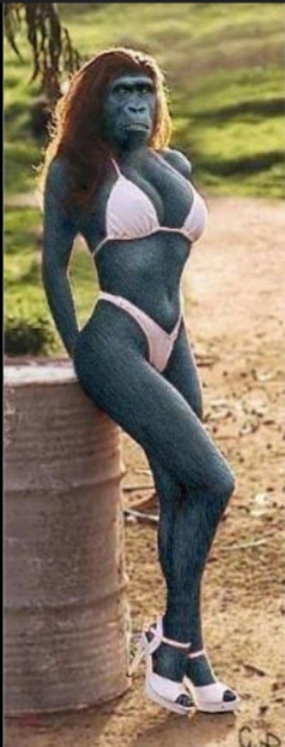 Still Victory tweet media