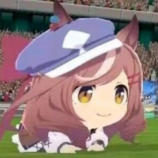 Jonpetit tweet media