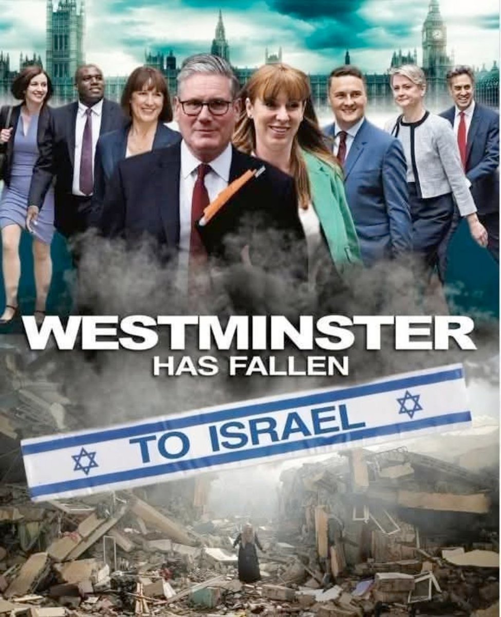 Logical Man🇵🇸🍉 tweet media