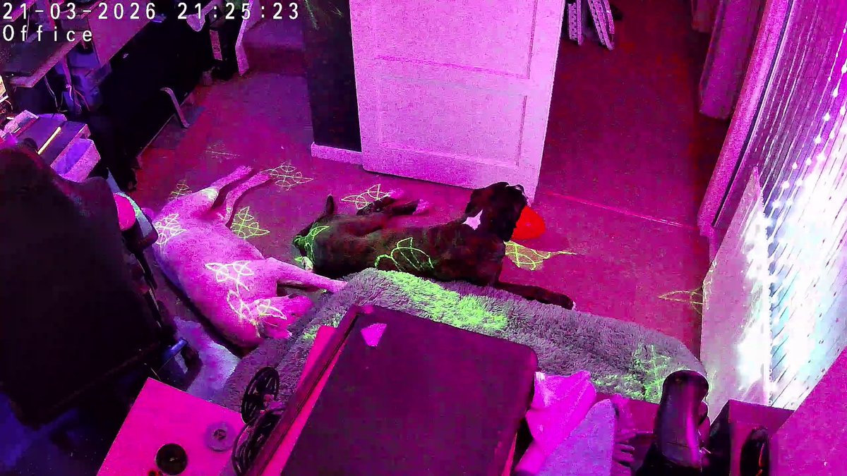 #Hector in charge tweet media