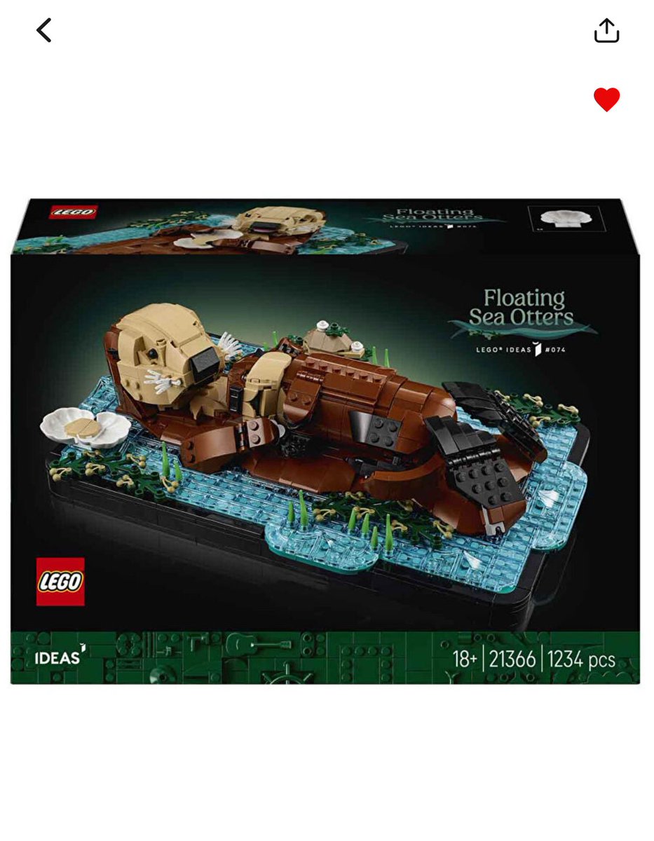 lottie🐇 tweet media