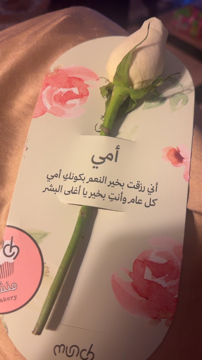عبير زكي احمد سليم (@abersalem) on Twitter photo 
