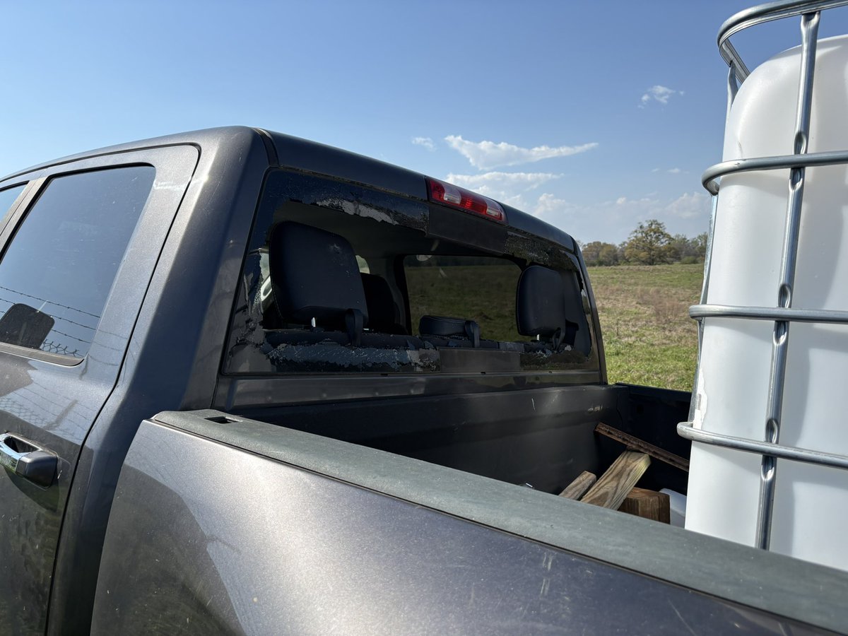 Homesteading4sovereignty tweet media