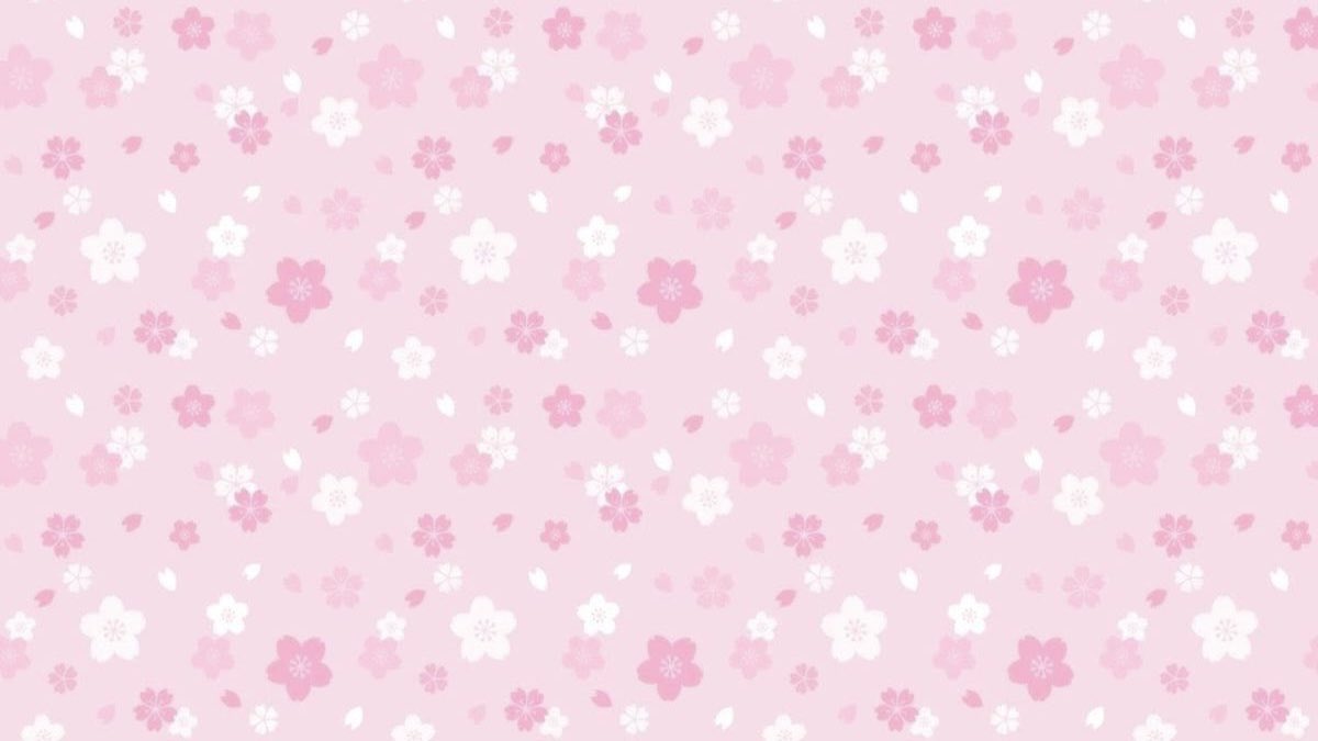 ♪⃣ 𓈒 ݁ 𓏲𝄢 tweet media