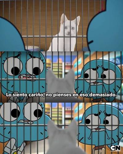 Mamei799 tweet media