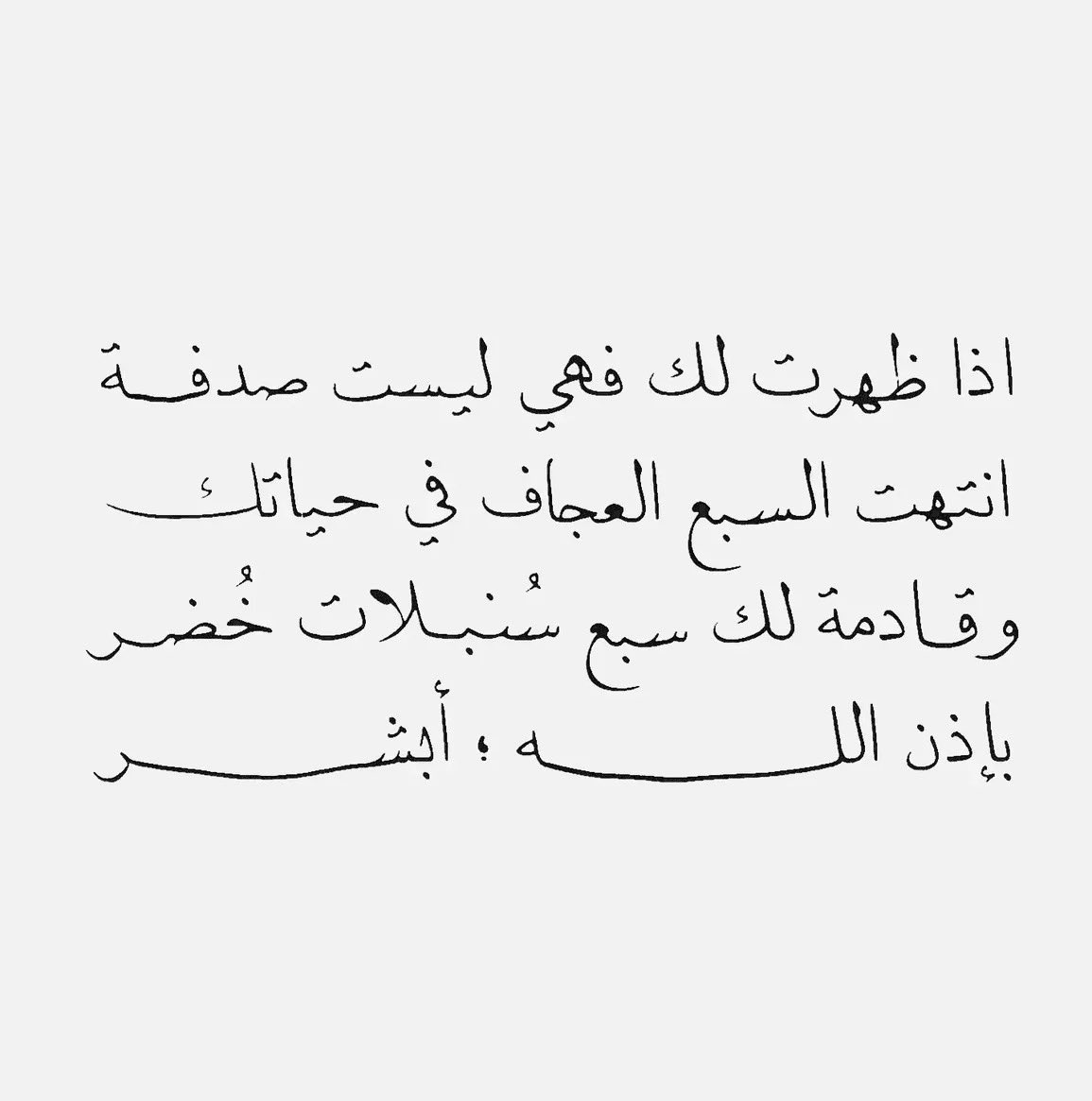 أديب tweet media