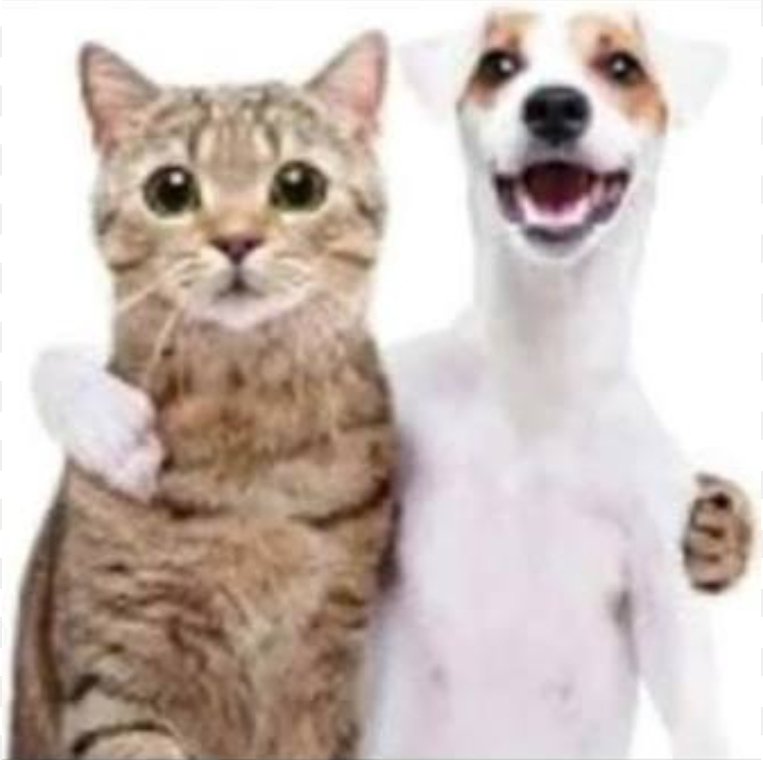 Endymion Larceny 🏳️‍⚧️ tweet media