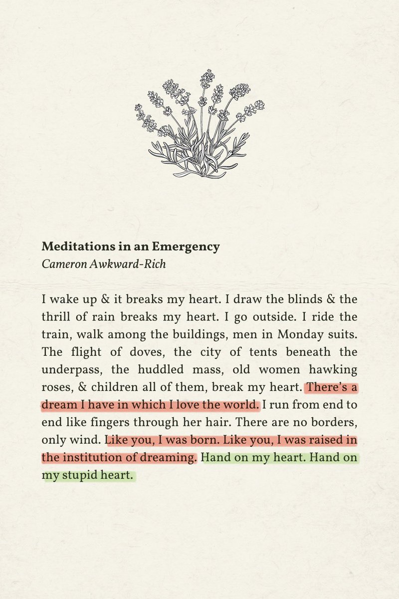 aylin ☽ tweet media