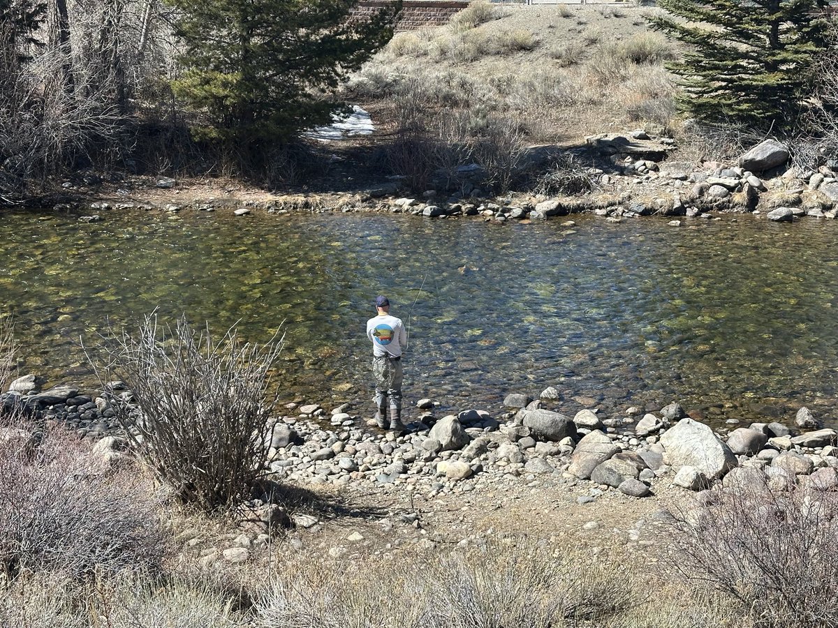 Nick Gallaher tweet media