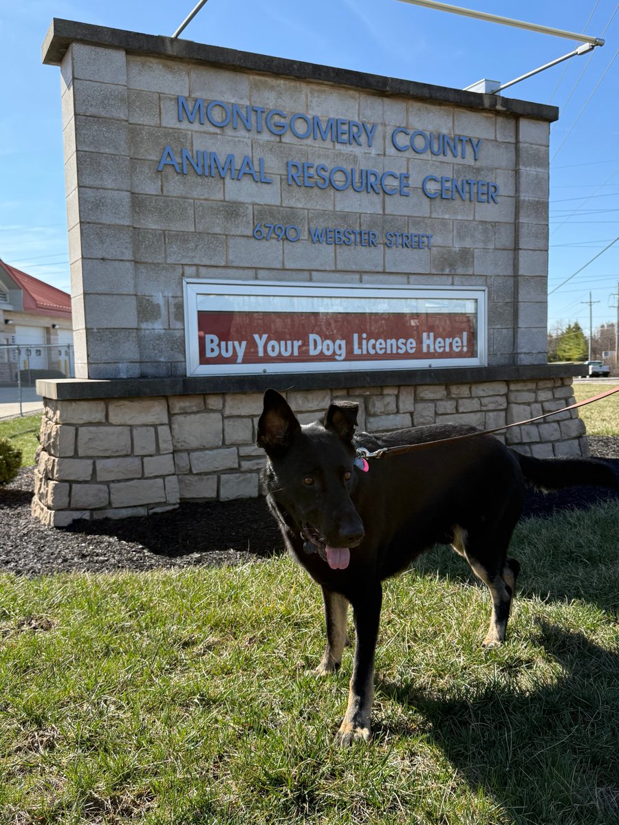 HundeHaus and Bear tweet media