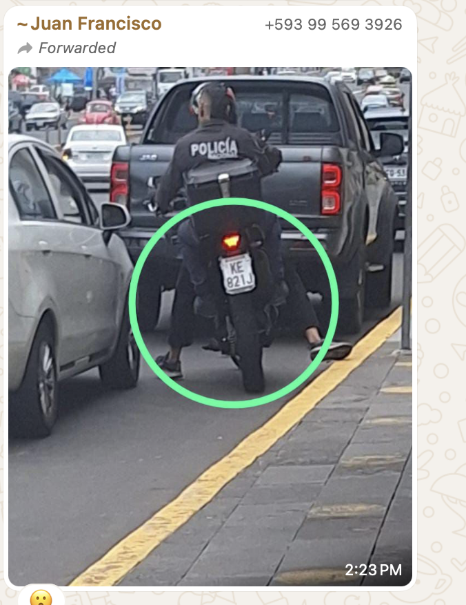 Diego Pullas tweet media