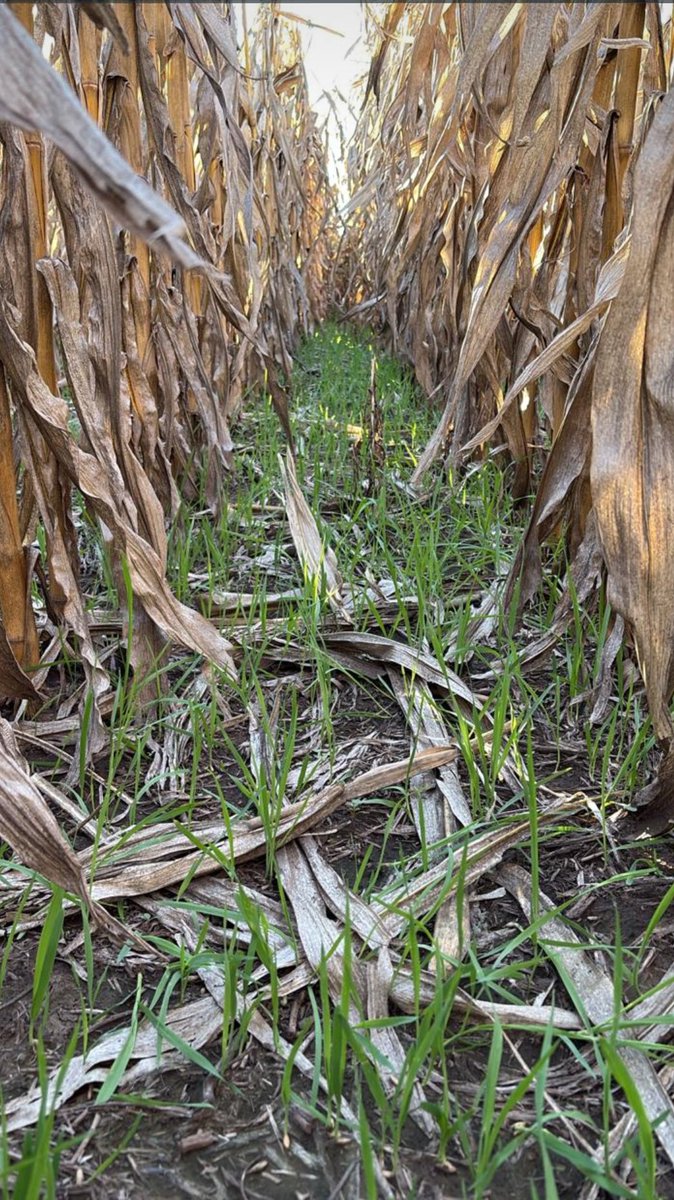 Enrique Martinez tweet media