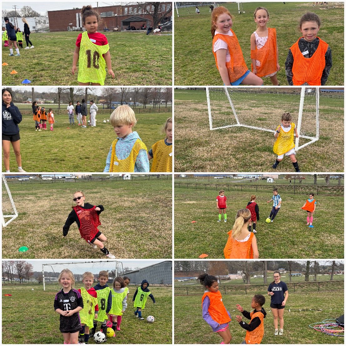 Sarah Knott tweet media