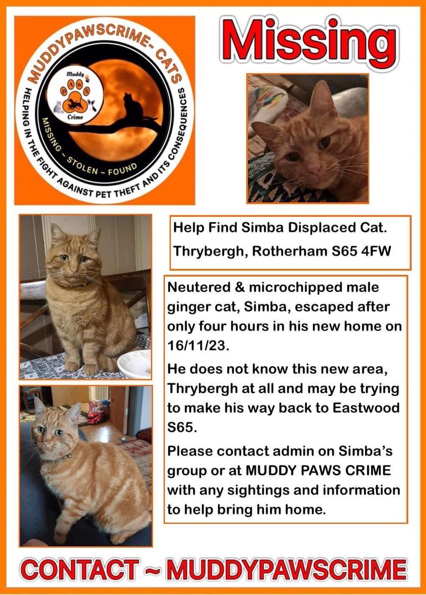 Karen Hall tweet media