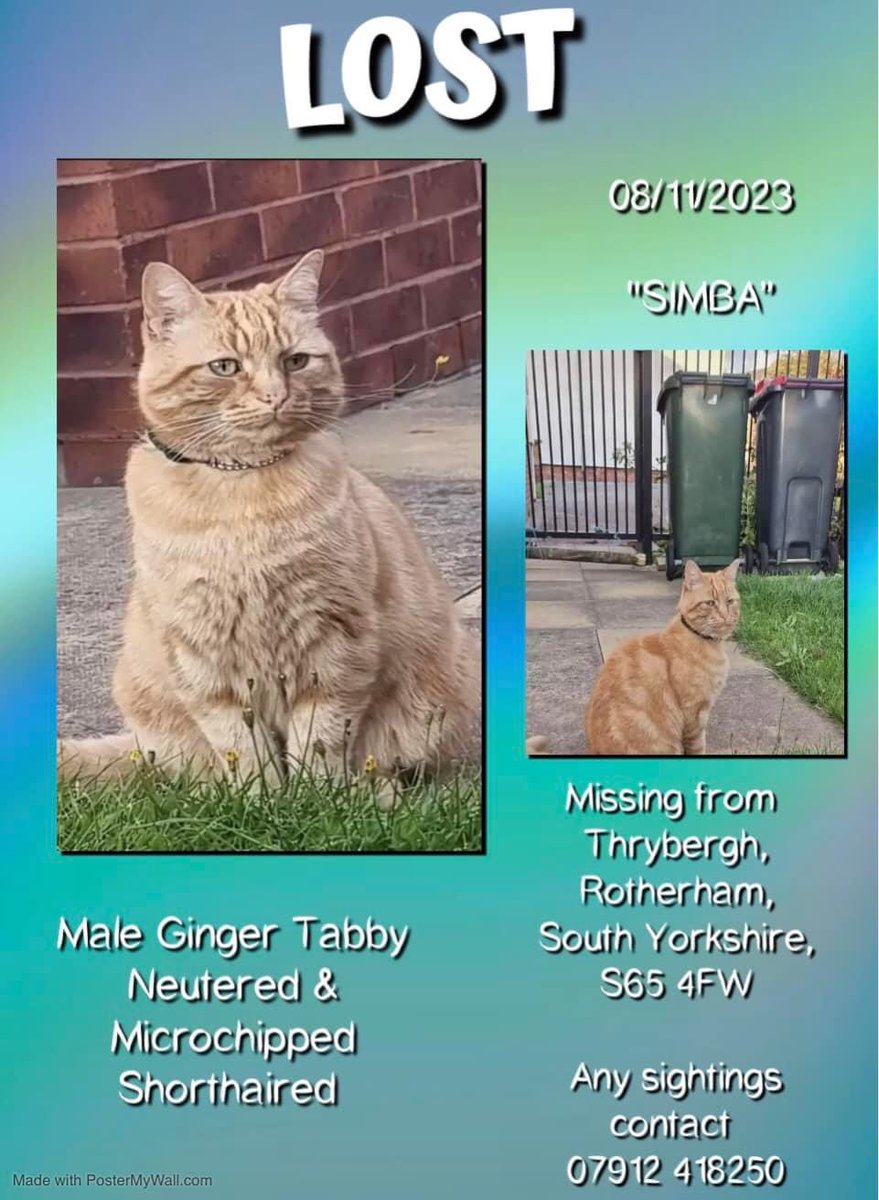 Karen Hall tweet media