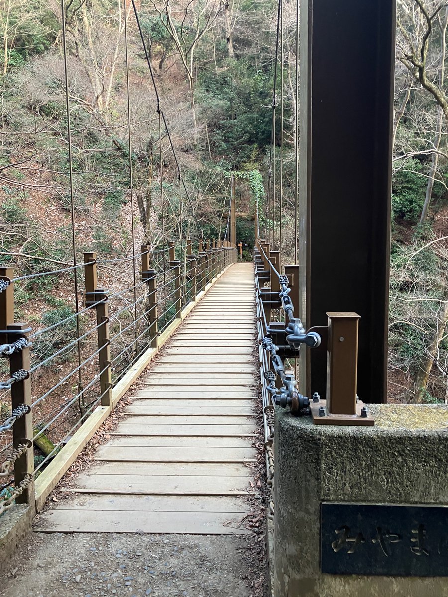 watti(わっち) tweet media