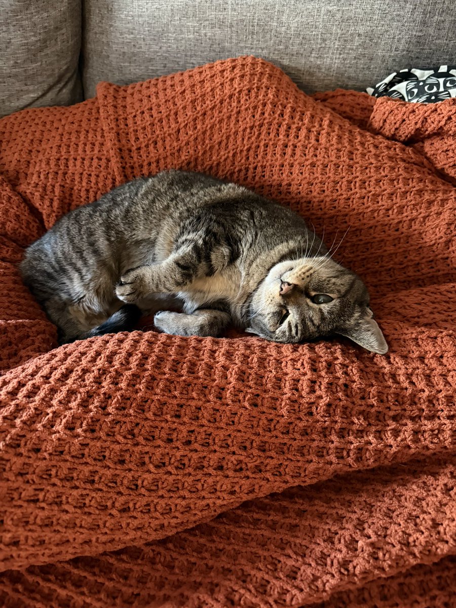 kate ☕️✨🍉 tweet media