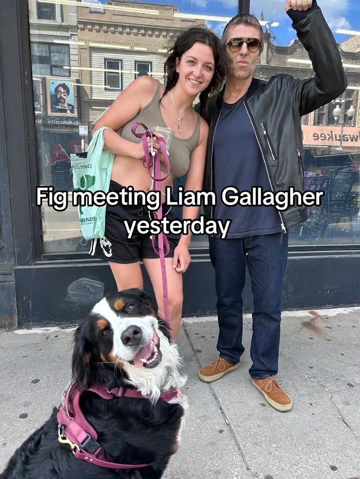 soph 🏋️ saw oasis tweet media